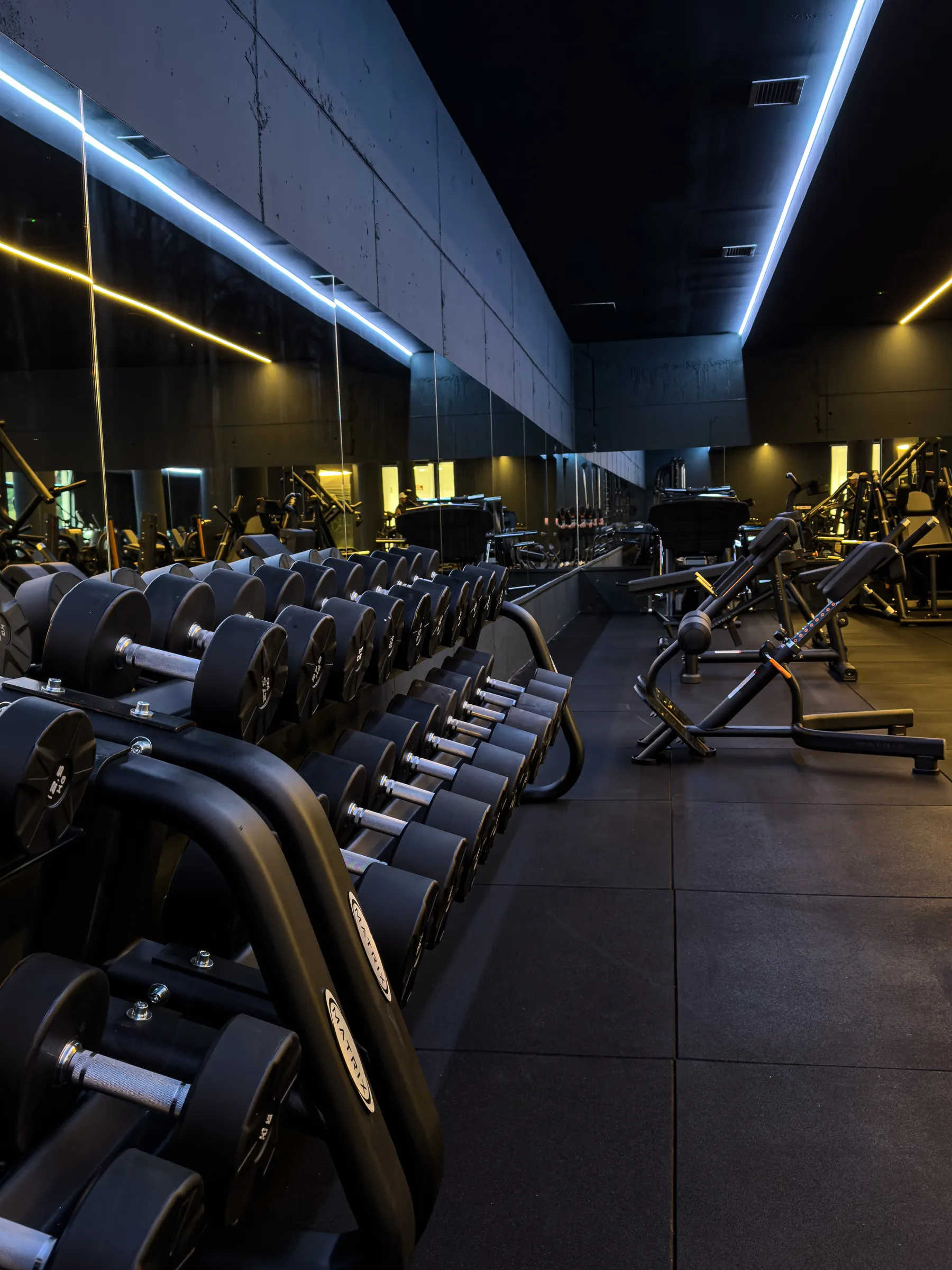 Sala de NITAGYM en Mungia, con iluminación LED sobre maquinaria negra